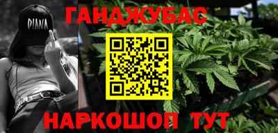 крисы Гусиноозёрск